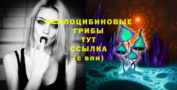 МДПВ Алексеевка