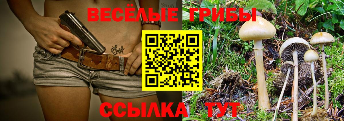 Псилоцибиновые грибы Magic Shrooms Балашов