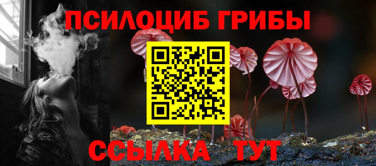 Галлюциногенные грибы Psilocybine cubensis  Вход с VPN  Балашов 